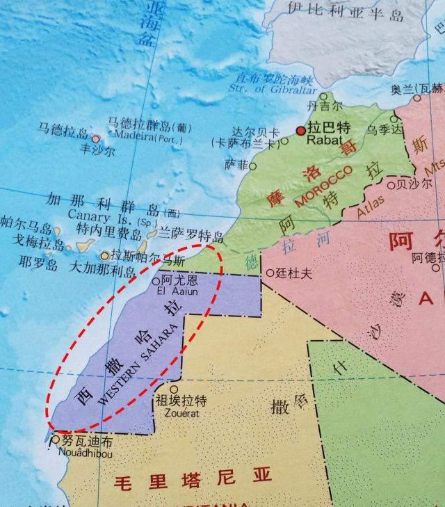 德约科维奇官方宣布出色防守新规，G2引发争议！上演精彩一战